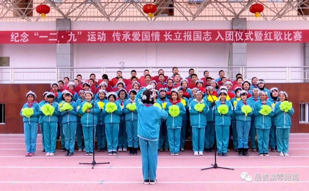 加快肉牛振兴 发展乡村产业 全力促进农民增收致富