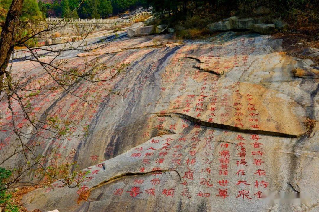 无限试驾2