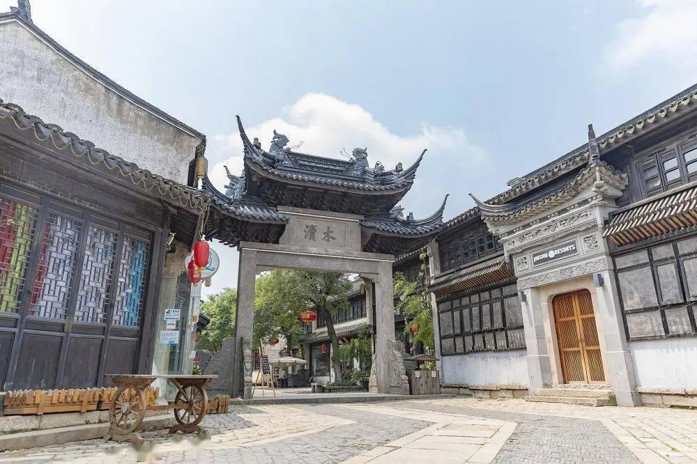 拯救蓝色小鸟