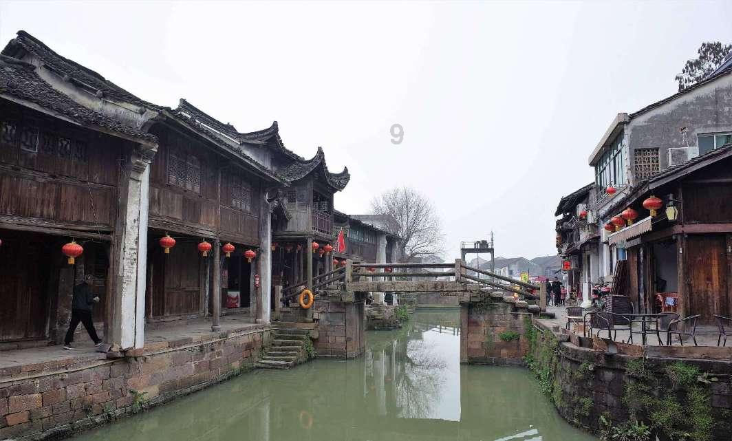 逃离野鸡森林